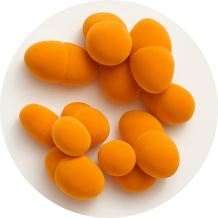 img-079